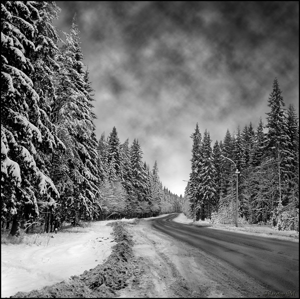 2_201012011515224X3sy.jpg