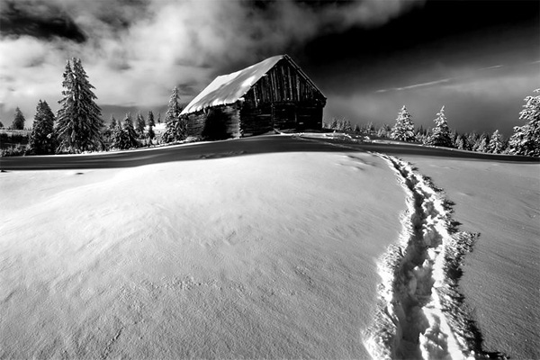 2_2010120115152213M0Yl.jpg