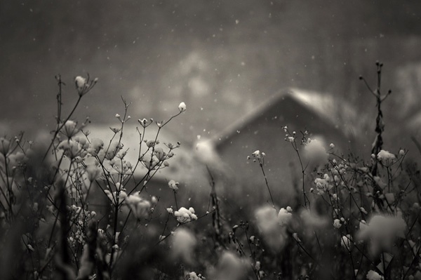 2_2010120115152218fKA7.jpg