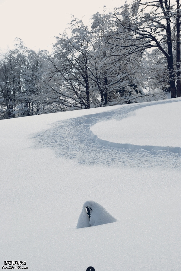 2_2010120115185414LAfj.jpg