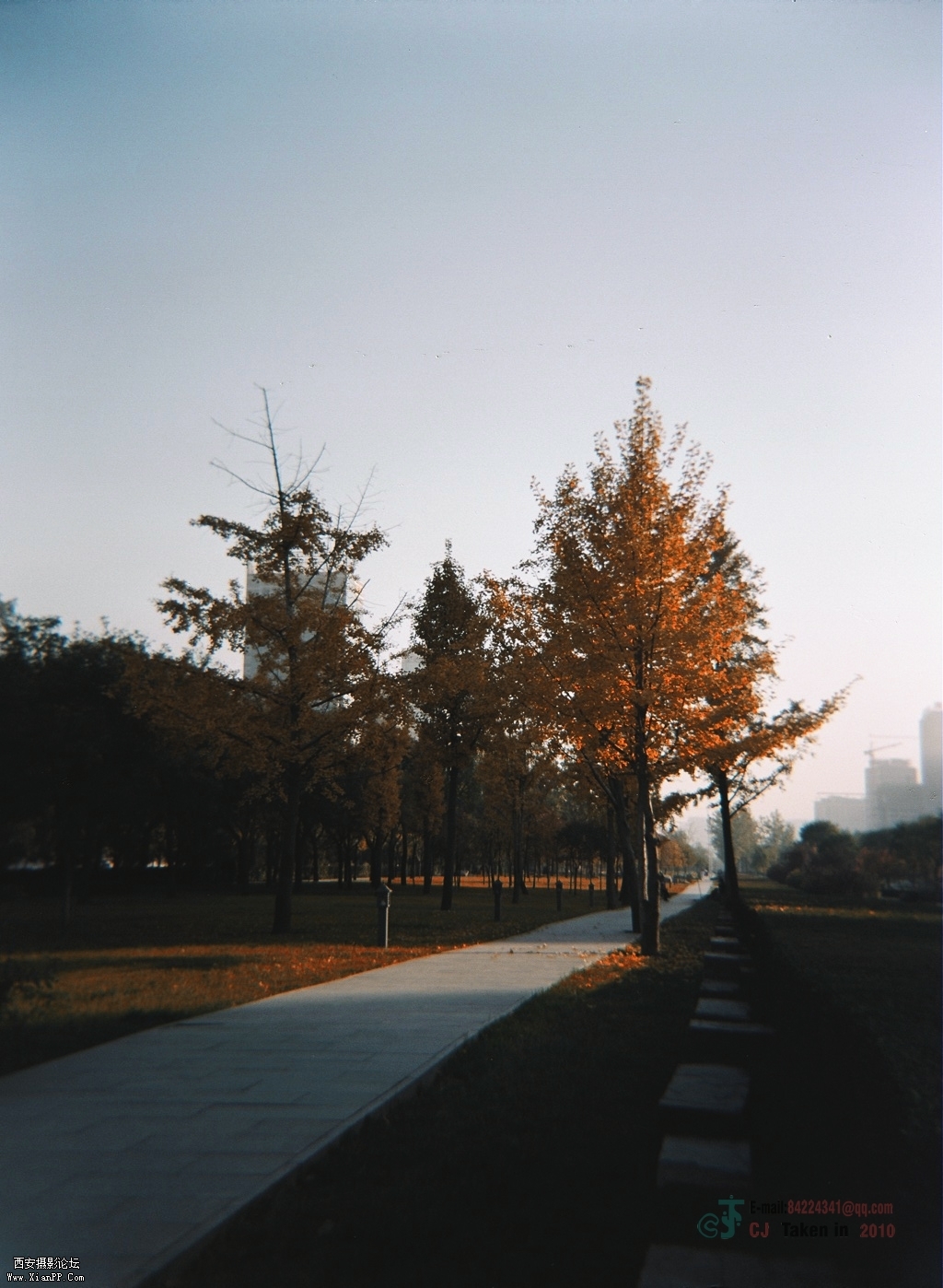 34580005.jpg