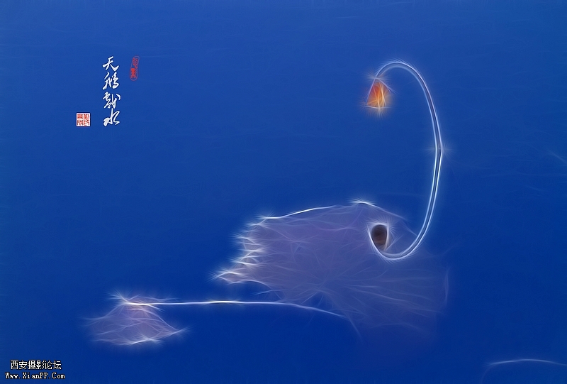 光圈: F/4.5 快门:1/125 焦距:200 毫米 感光度:100