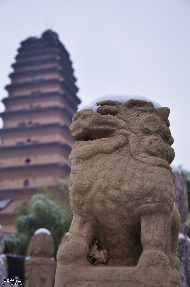 2_副本.jpg