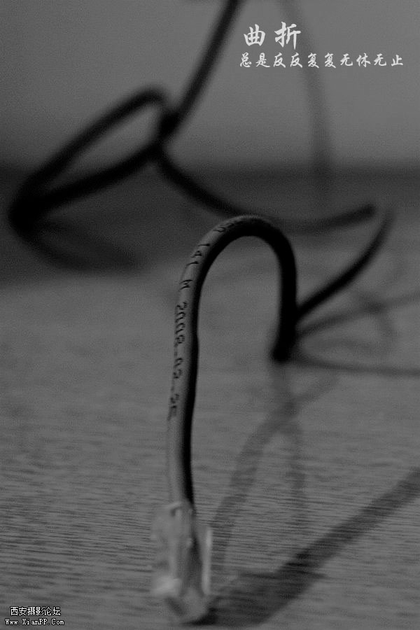 _MG_3319.jpg