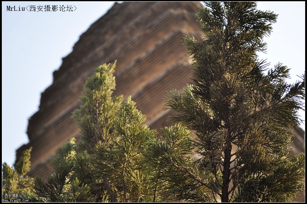 DSC_0163_光影_1.jpg