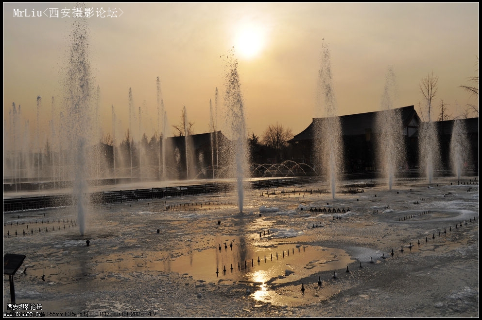 DSC_0225_光影_1.jpg