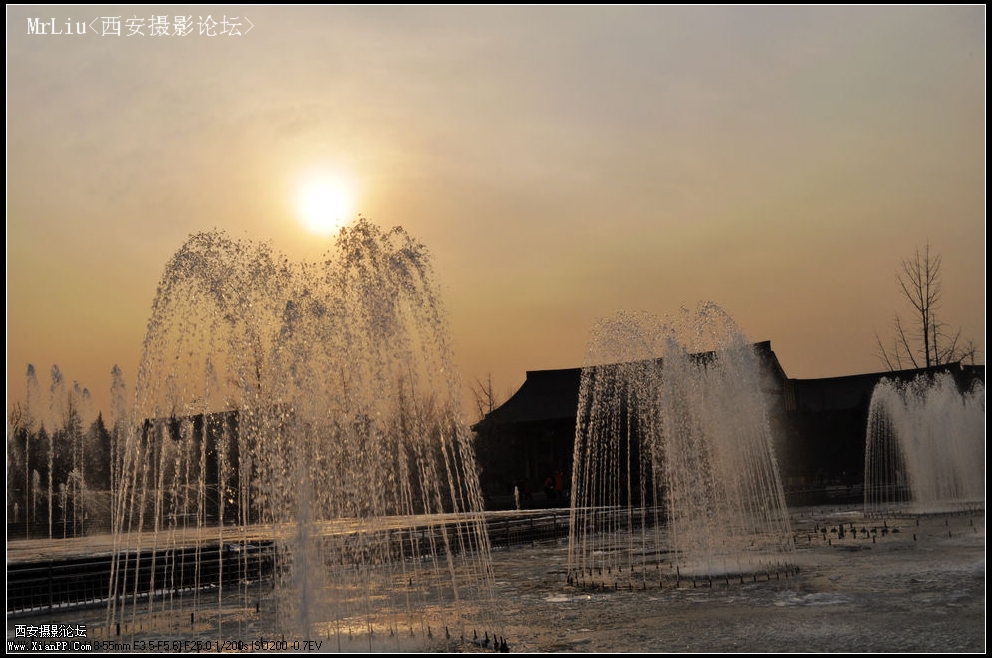 DSC_0231_光影_1.jpg