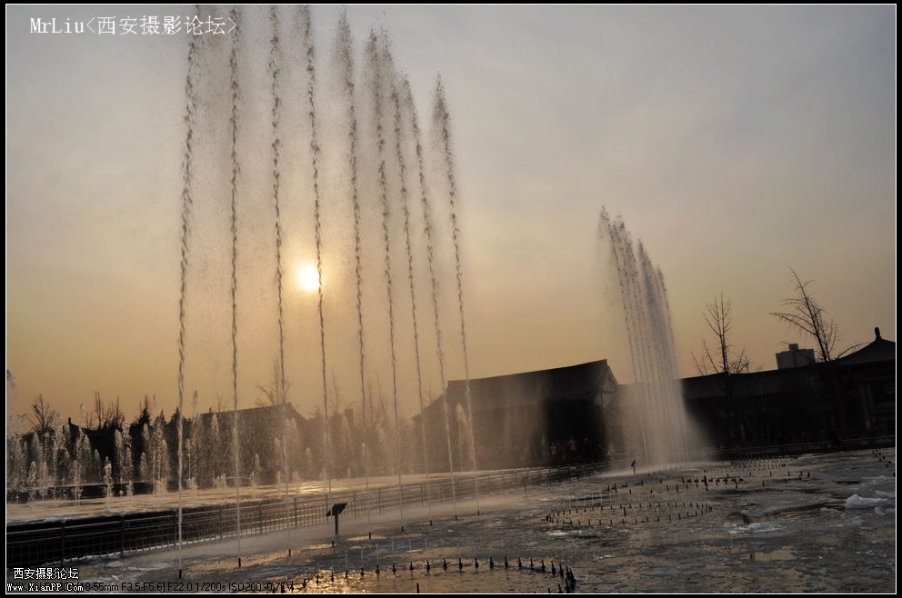 DSC_0232_光影_1.jpg