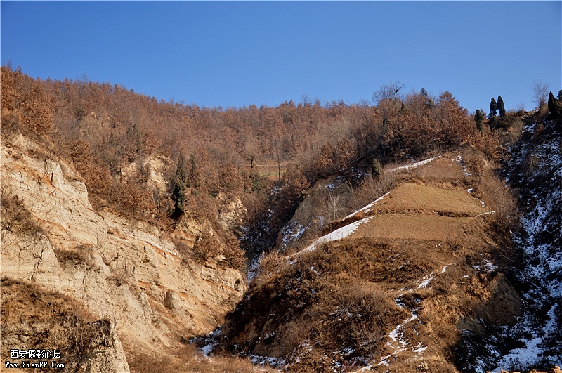 DSC_0406_副本.jpg