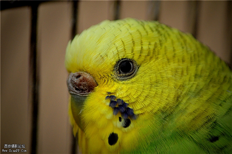 DSC_0326_副本.jpg