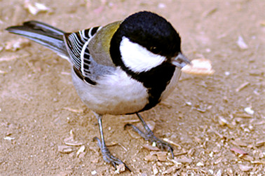DSC_0560_副本.jpg