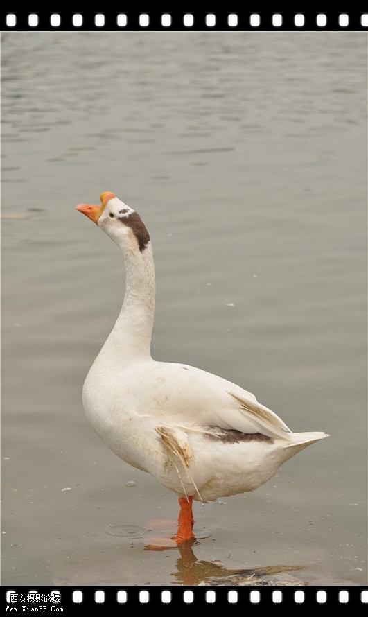 DSC_0269_副本_副本.jpg