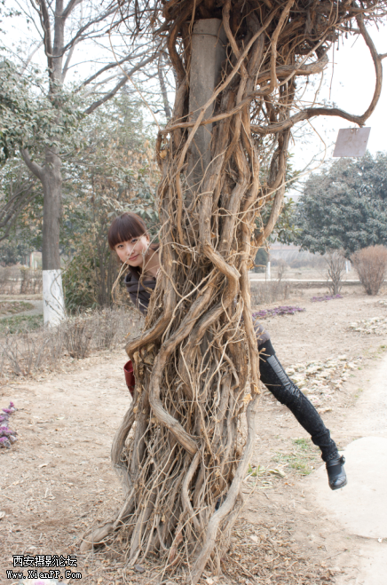 Behind Tree1.png