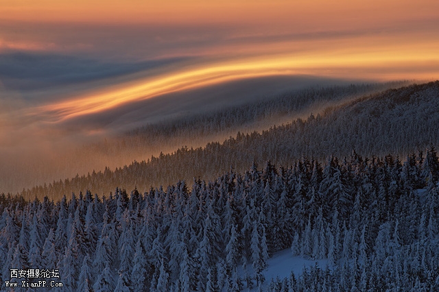 photo by Martin Rak