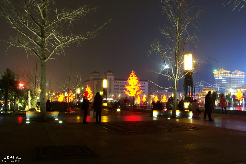 100_1294.jpg