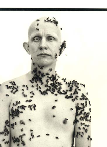 AVEDON6 (1).jpg