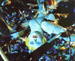 0812310208702560aba3ee97b6.gif