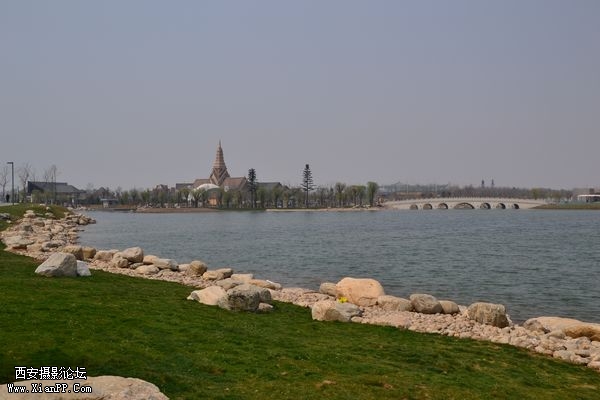 DSC_024825.jpg