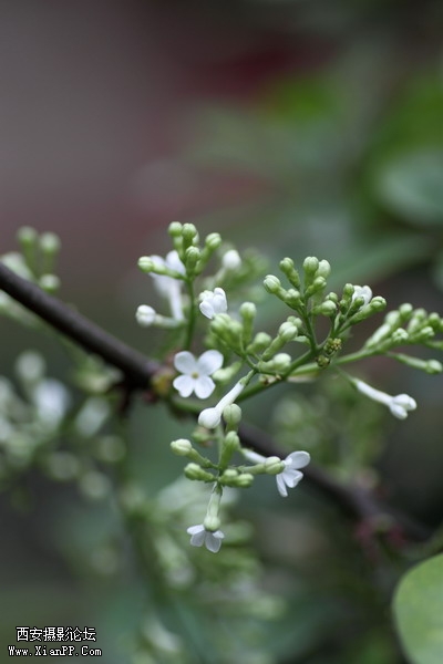 20110403翠华路办公区0010_调整大小.JPG