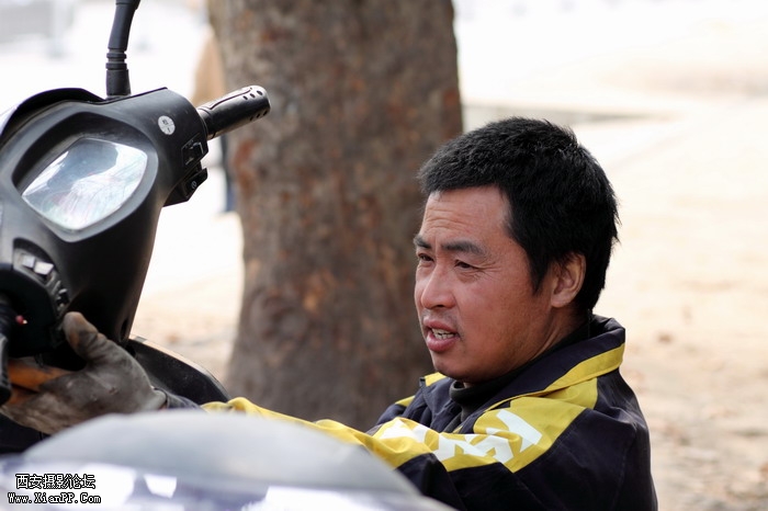 20110404蜜蜂0033_exposure_调整大小.JPG