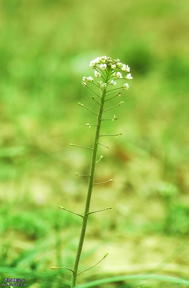 100_2593副本.jpg