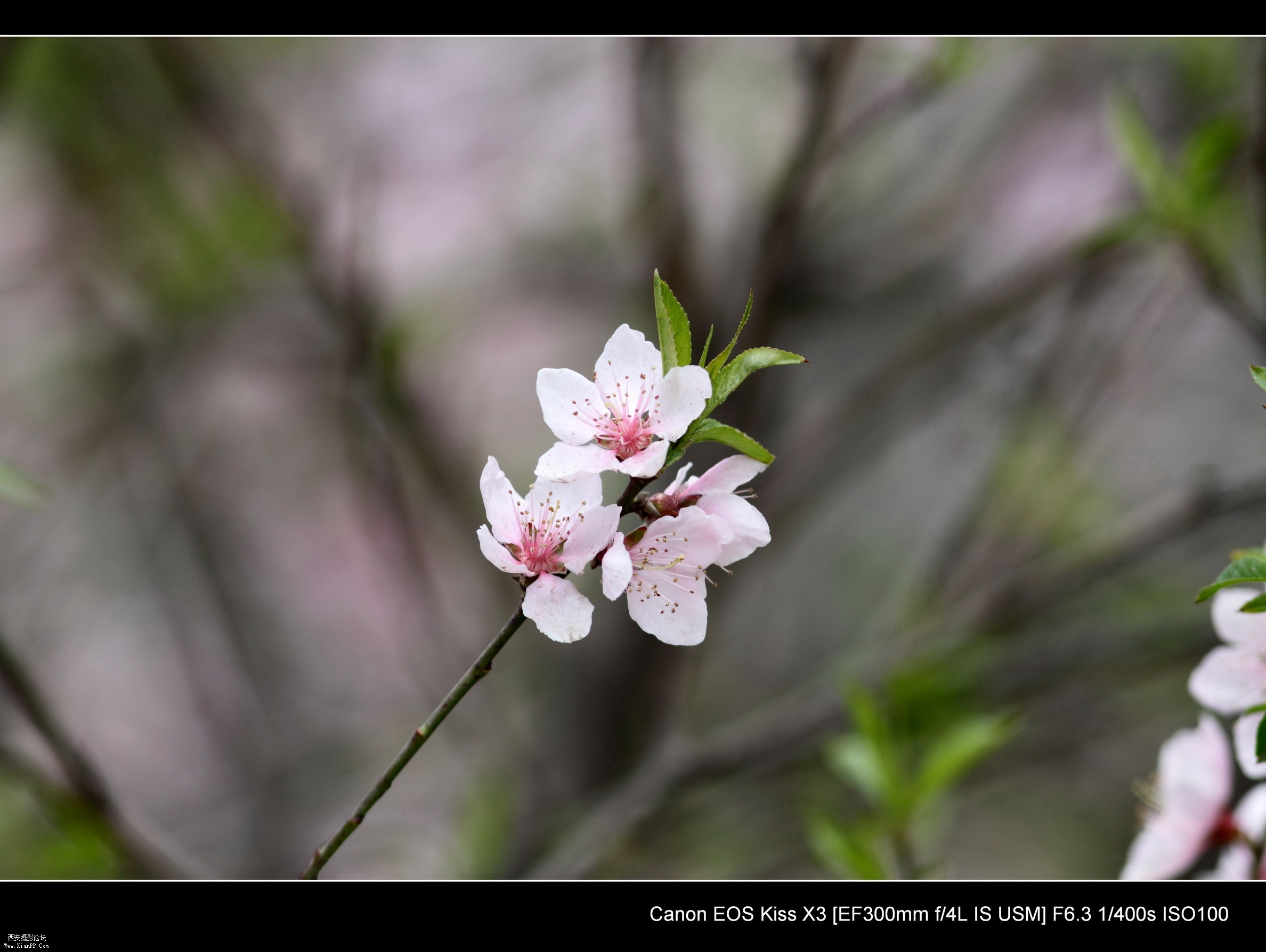 20110407试镜0001.jpg