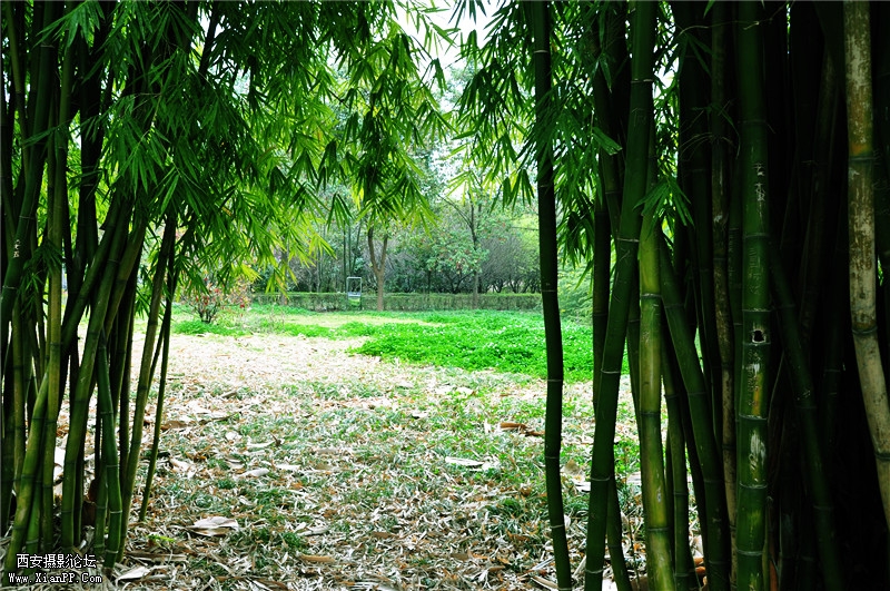 DSC_0497_副本.jpg