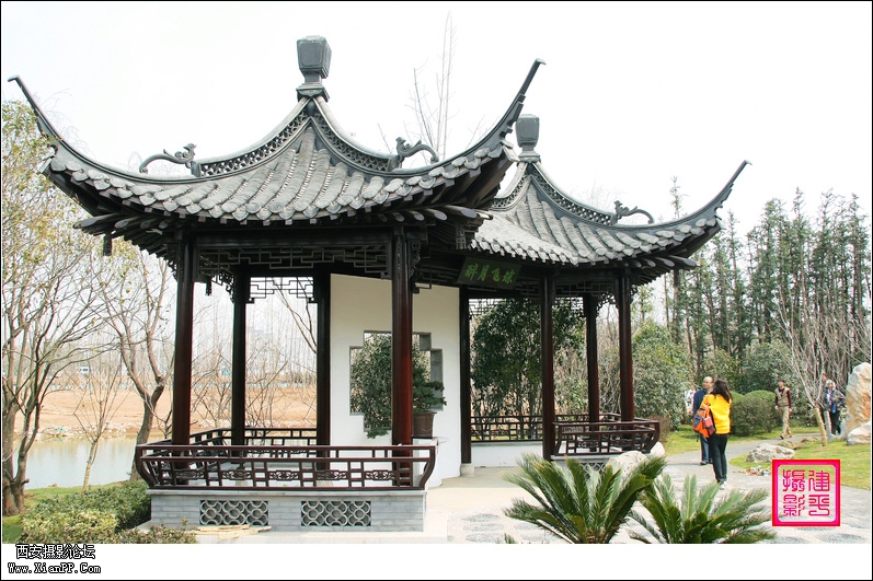 市场掠影.jpg