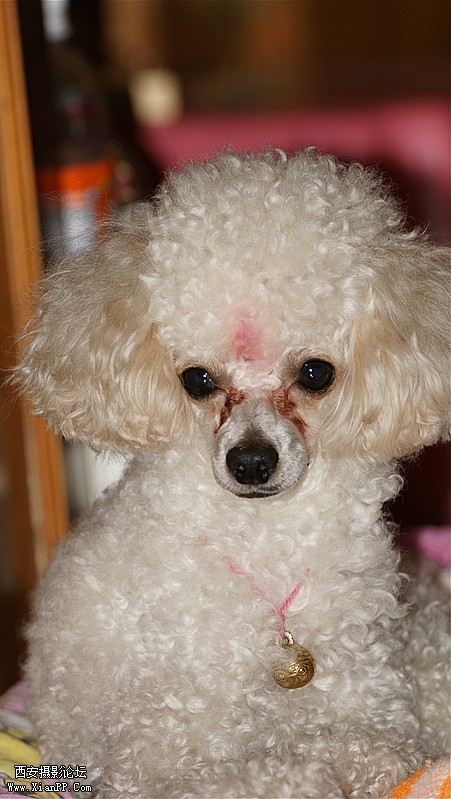 DSC05057_副本111.jpg