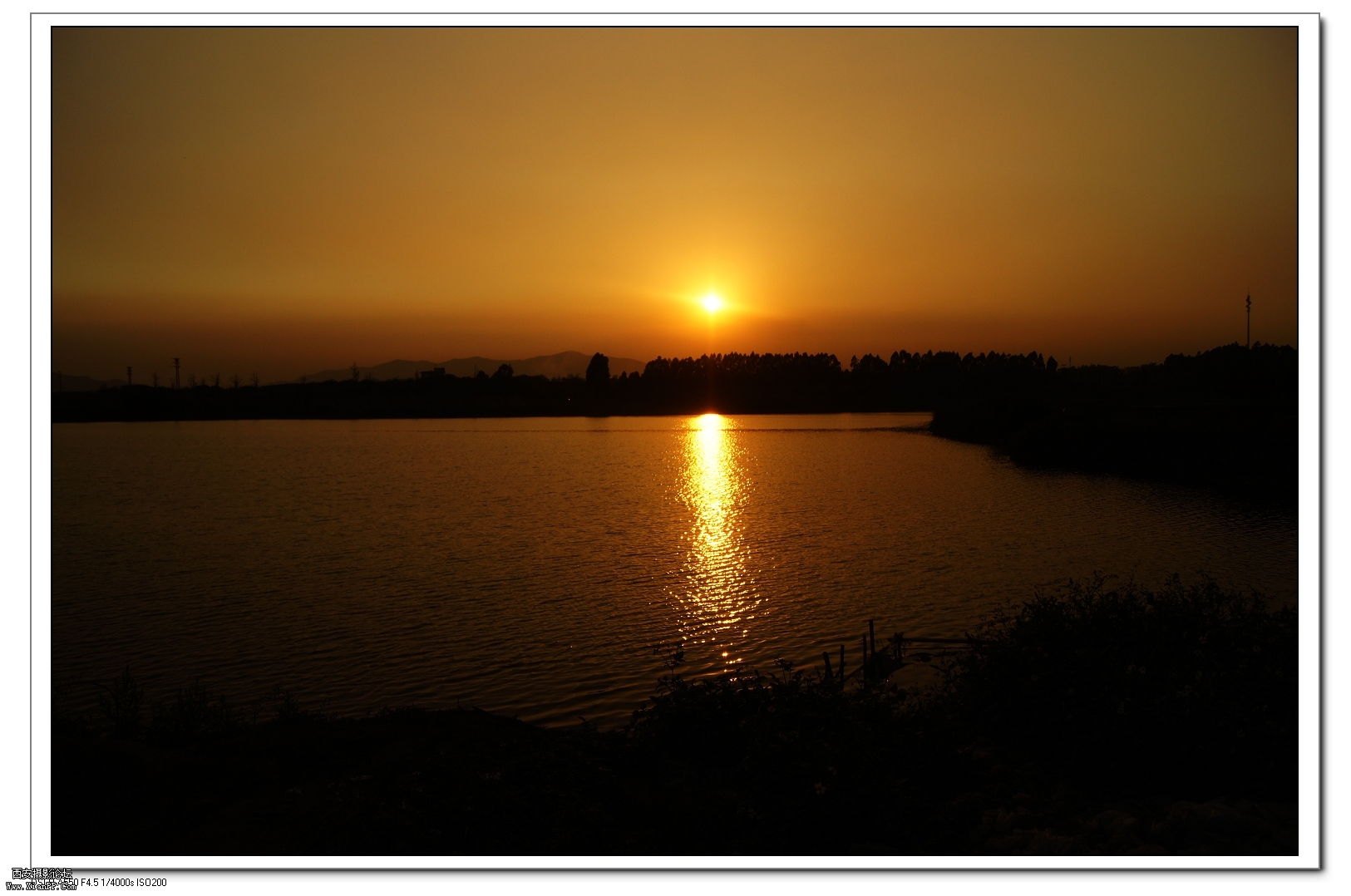 DSC07842.jpg