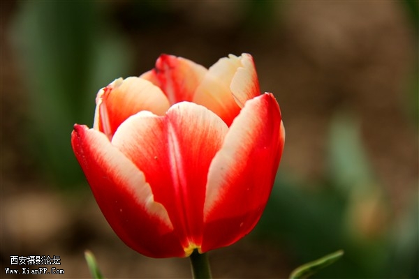 IMG_3016_副本.jpg