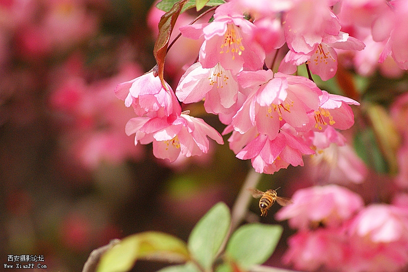 dsc09884_副本.jpg