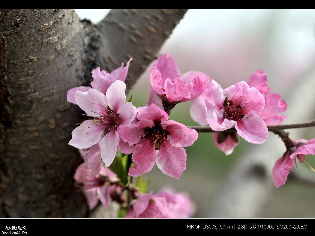 _WZG4764_缩小大小.JPG