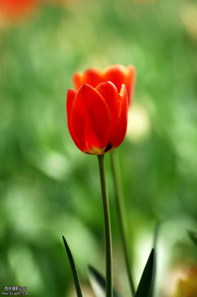DSC_0003.JPG