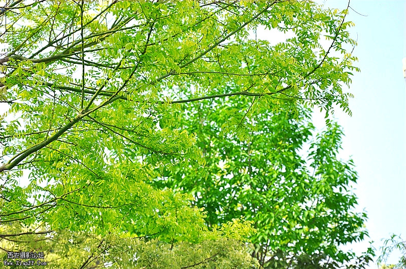 DSC_0323_副本.jpg
