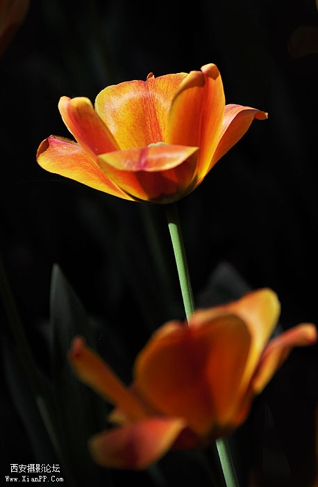 DSC_0666.jpg