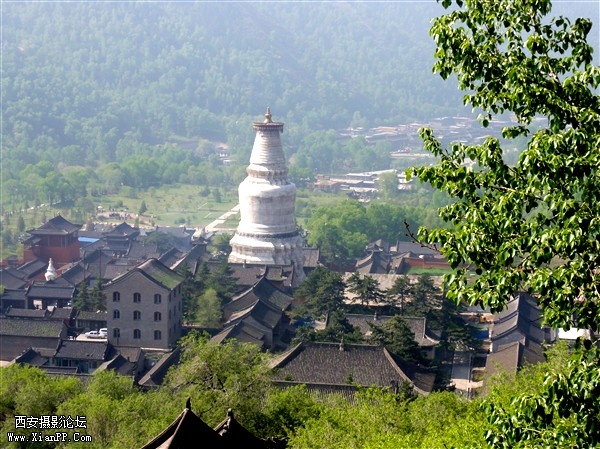 DSC01403_副本.jpg