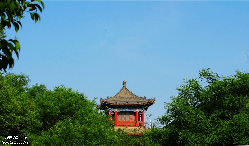 DSC07204_副本.jpg