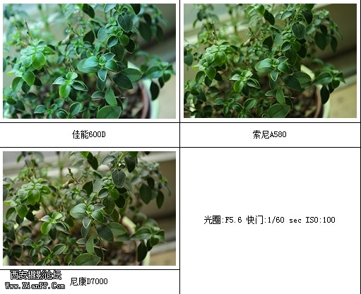 QQ截图未命名.jpg