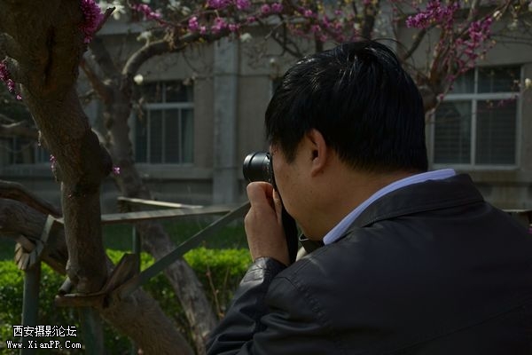 不是本人哦