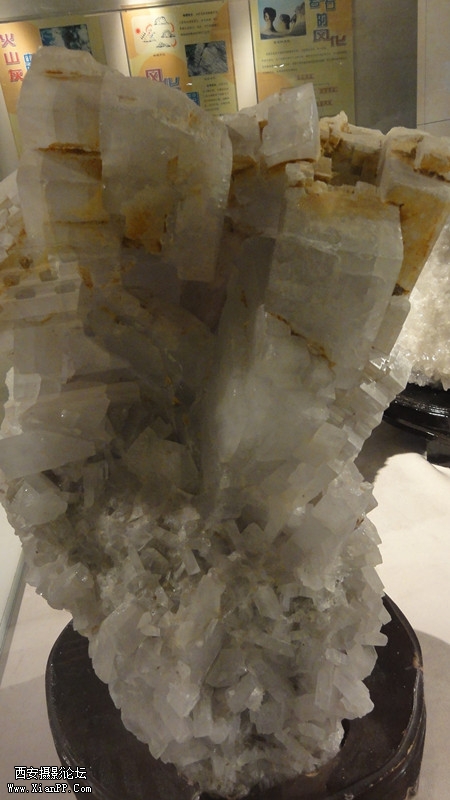 DSC00436_副本.jpg