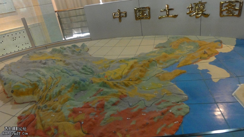 DSC00438_副本.jpg
