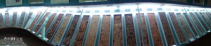 DSC00440_副本.jpg