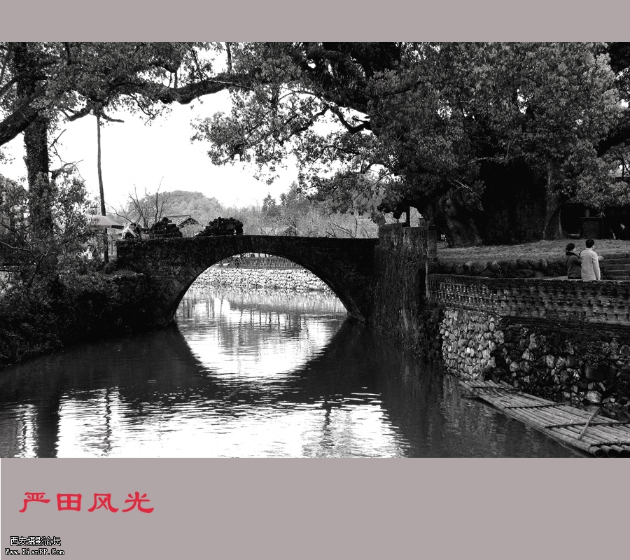17907877云逸梦尘.jpg