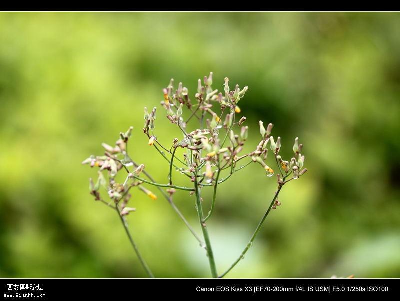 20110510历史博物馆1241_副本.jpg