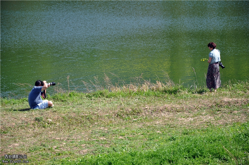 DSC_0264_副本.jpg