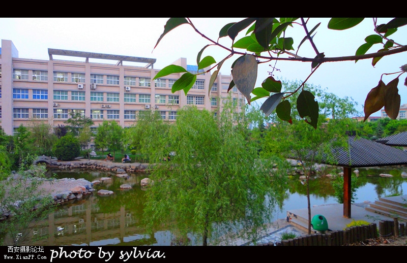 DSC07212_副本.jpg