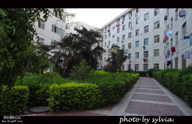 DSC07234_副本.jpg