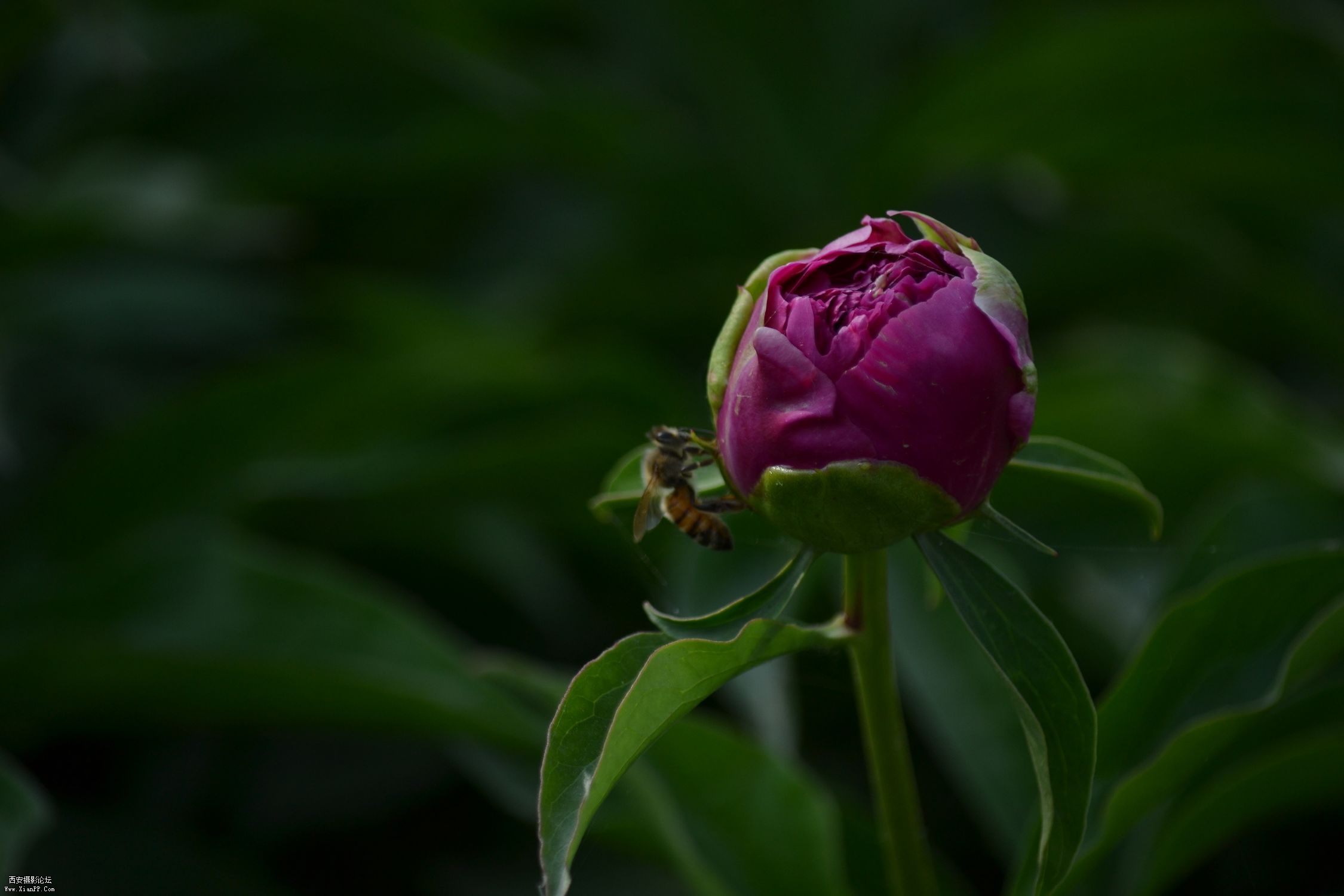 DSC_0326.jpg