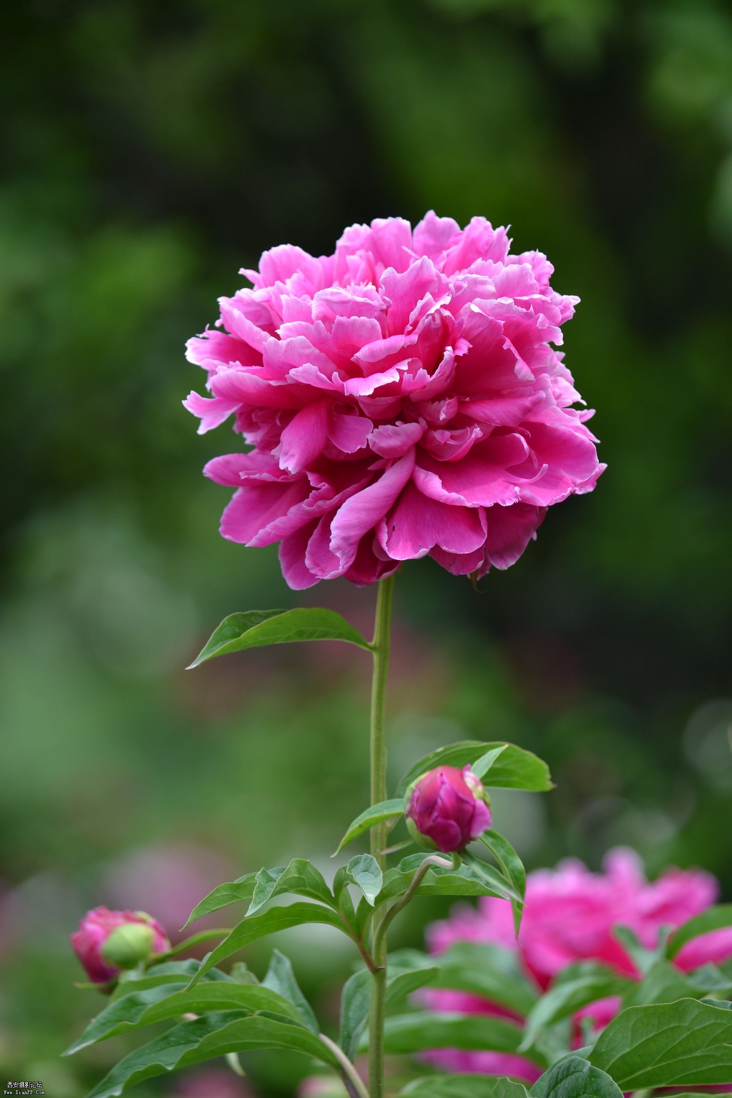 DSC_0114.jpg